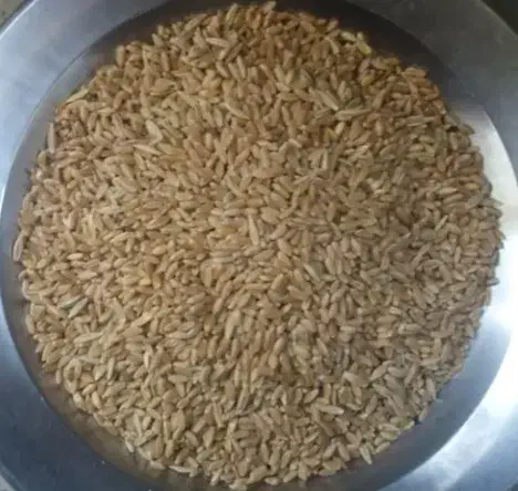 گندم تمیز آماده مکینه هست|خوردنی و آشامیدنی|یاسوج, |دیوار