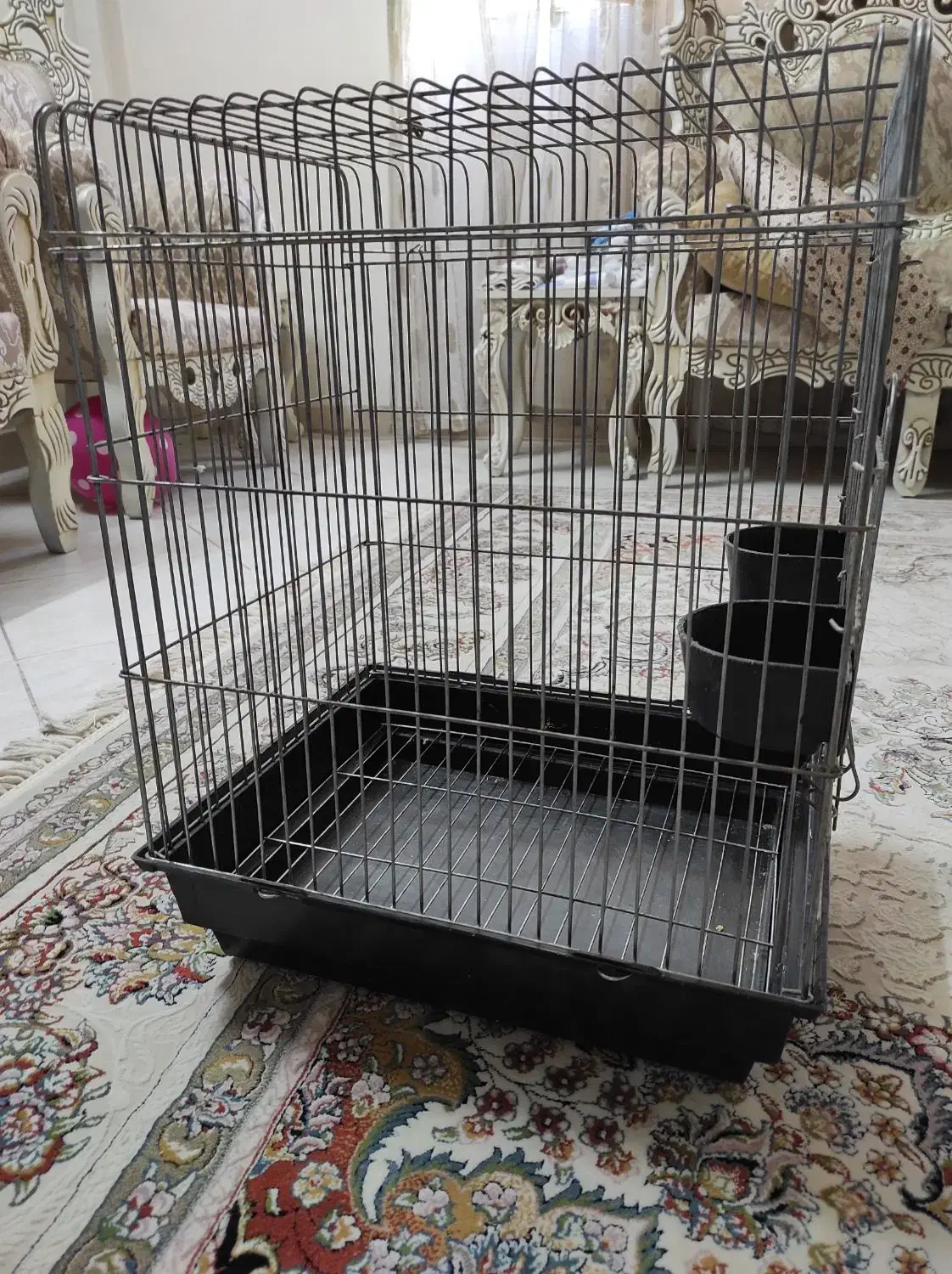 قفس پرنده|لوازم جانبی حیوانات|محمدشهر, ولدآباد|دیوار