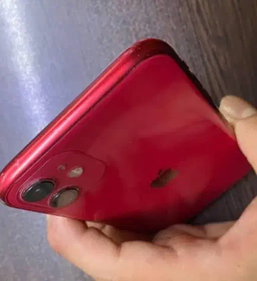 iPhone 11 آیفون ۱۱|موبایل|اصفهان, باغ گلها|دیوار