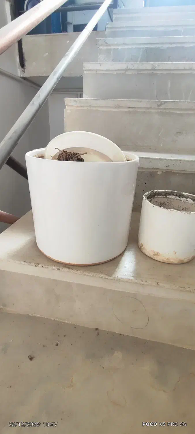 دو عدد گلدان|کلکسیون و سرگرمی|بیرجند, |دیوار