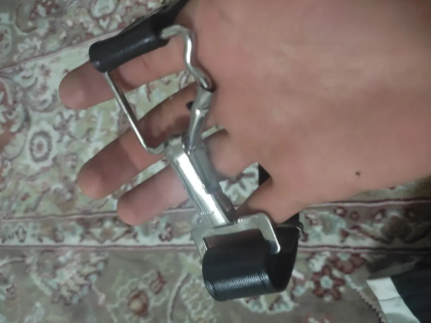 قلاده سگ|لوازم جانبی حیوانات|بروجرد, |دیوار