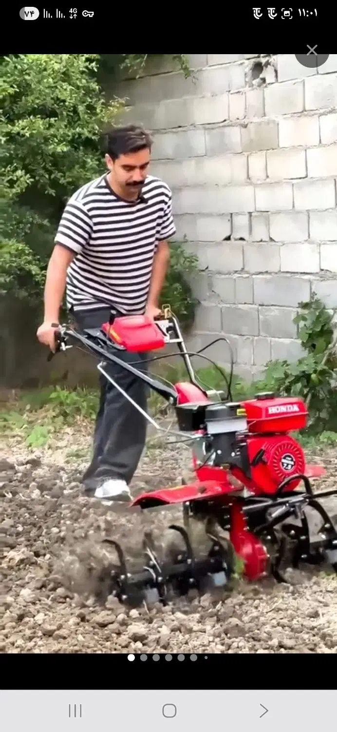 خدمات باغبانی|خدمات باغبانی و درختکاری|قم, پاسدار|دیوار