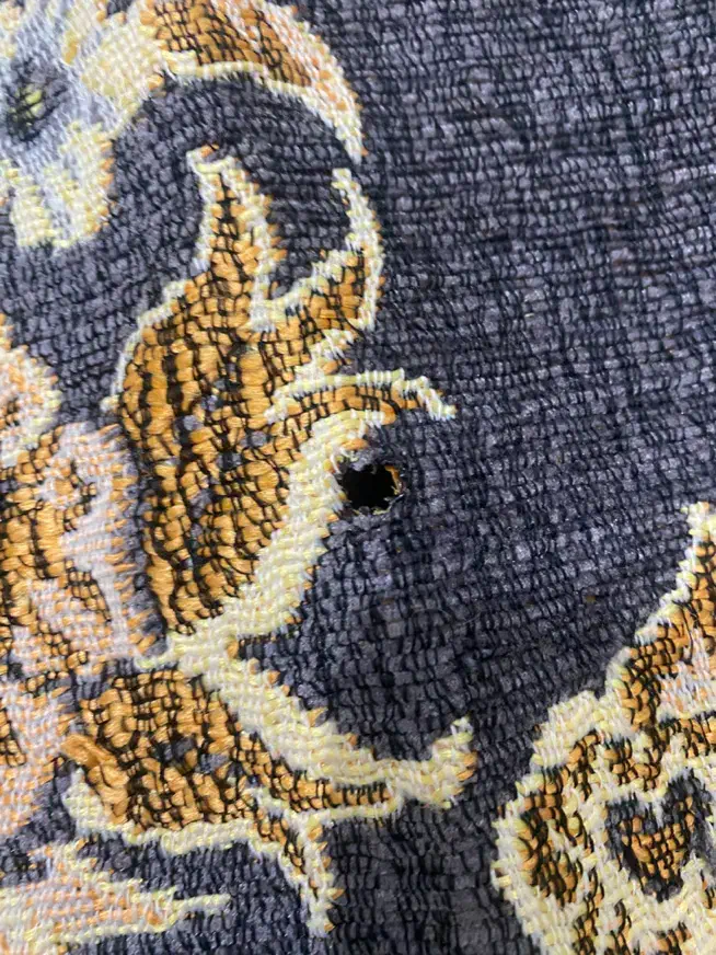 روفرشی ۹ متری در حدنو|روفرشی|مشهد, کوی سیدی|دیوار