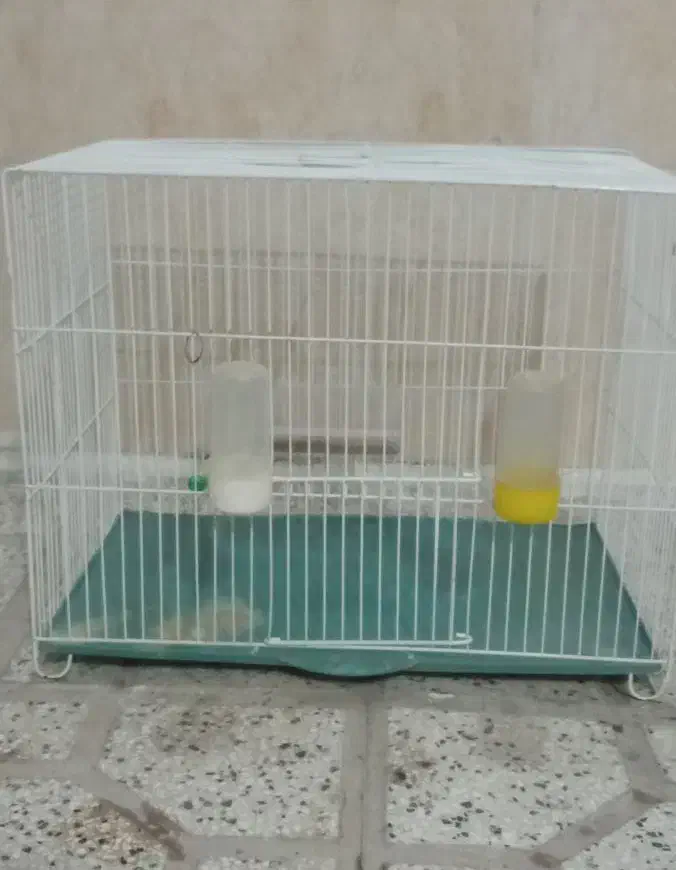 قفس پرنده|لوازم جانبی حیوانات|نیشابور, رحمت آباد|دیوار