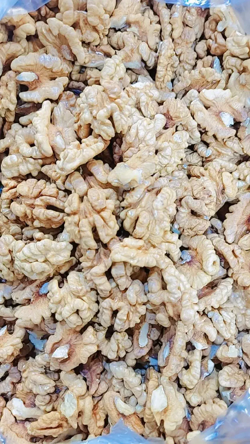 مغز گردو سنندج|خوردنی و آشامیدنی|قم, شاه ابراهیم|دیوار