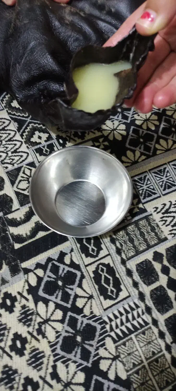 روغن حیوانی با گوسفند|خوردنی و آشامیدنی|زاگرس, |دیوار