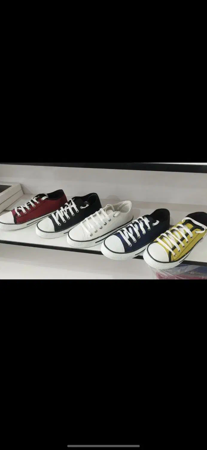 آل استار|کیف، کفش، کمربند|لاهیجان, شیشه گران|دیوار