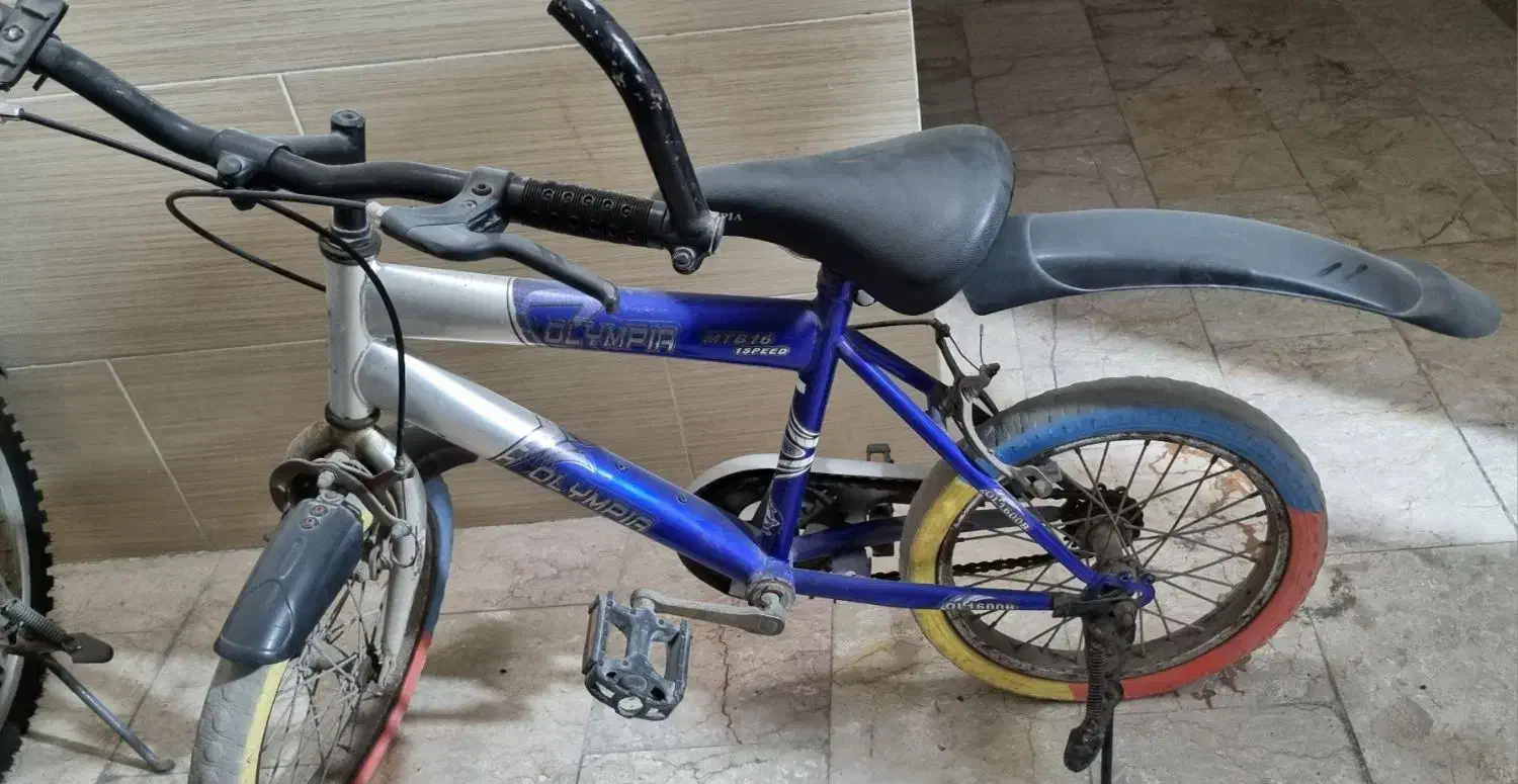 سالم با لاستیک توپر (گوشتی)|دوچرخه، اسکیت، اسکوتر|بندرعباس, |دیوار