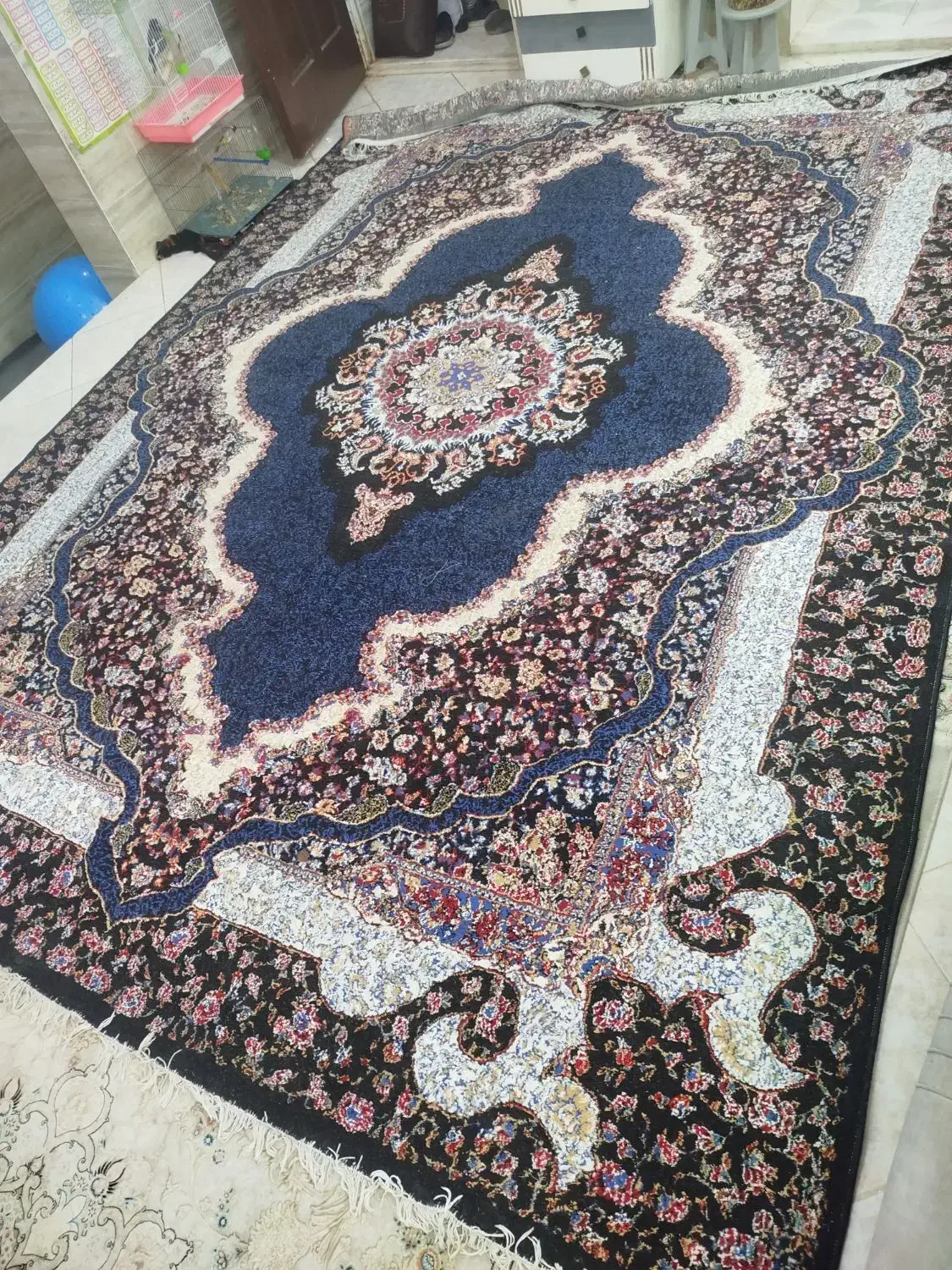 قالی 12متری|فرش|یزد, |دیوار