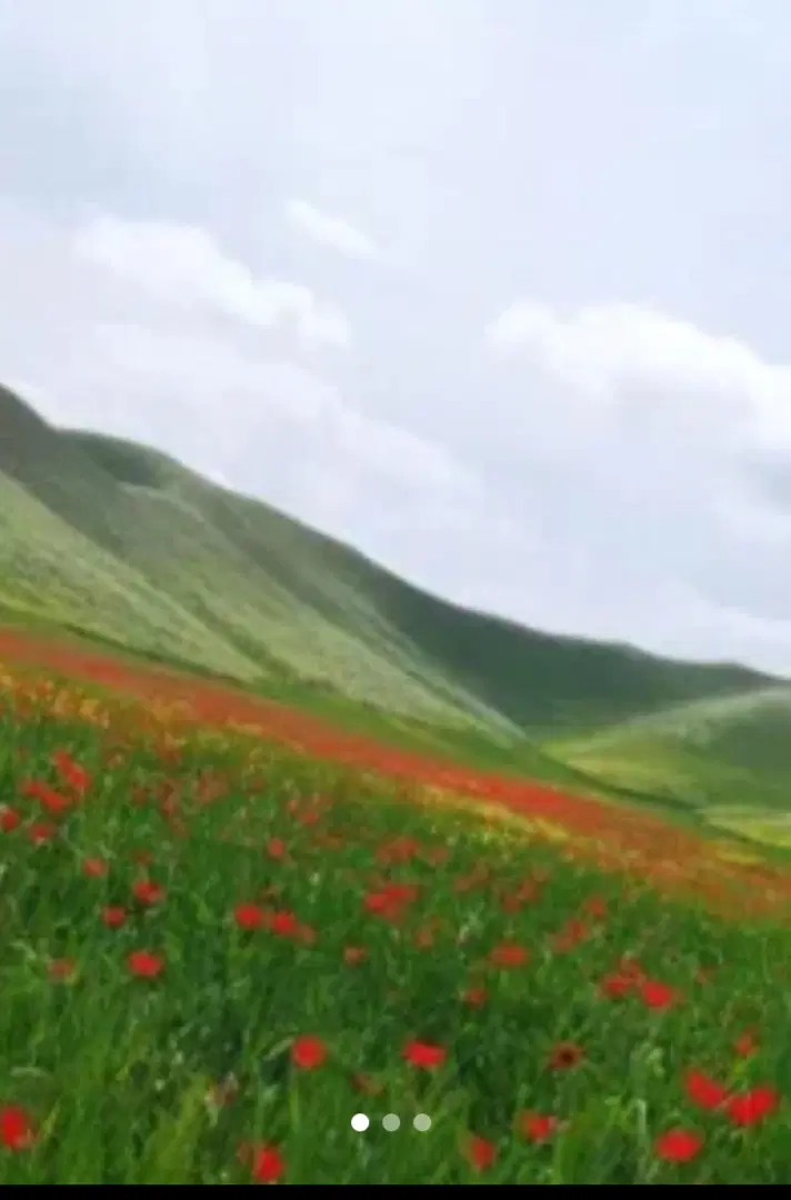 سفروگردش|تور و چارتر|بهشهر, |دیوار