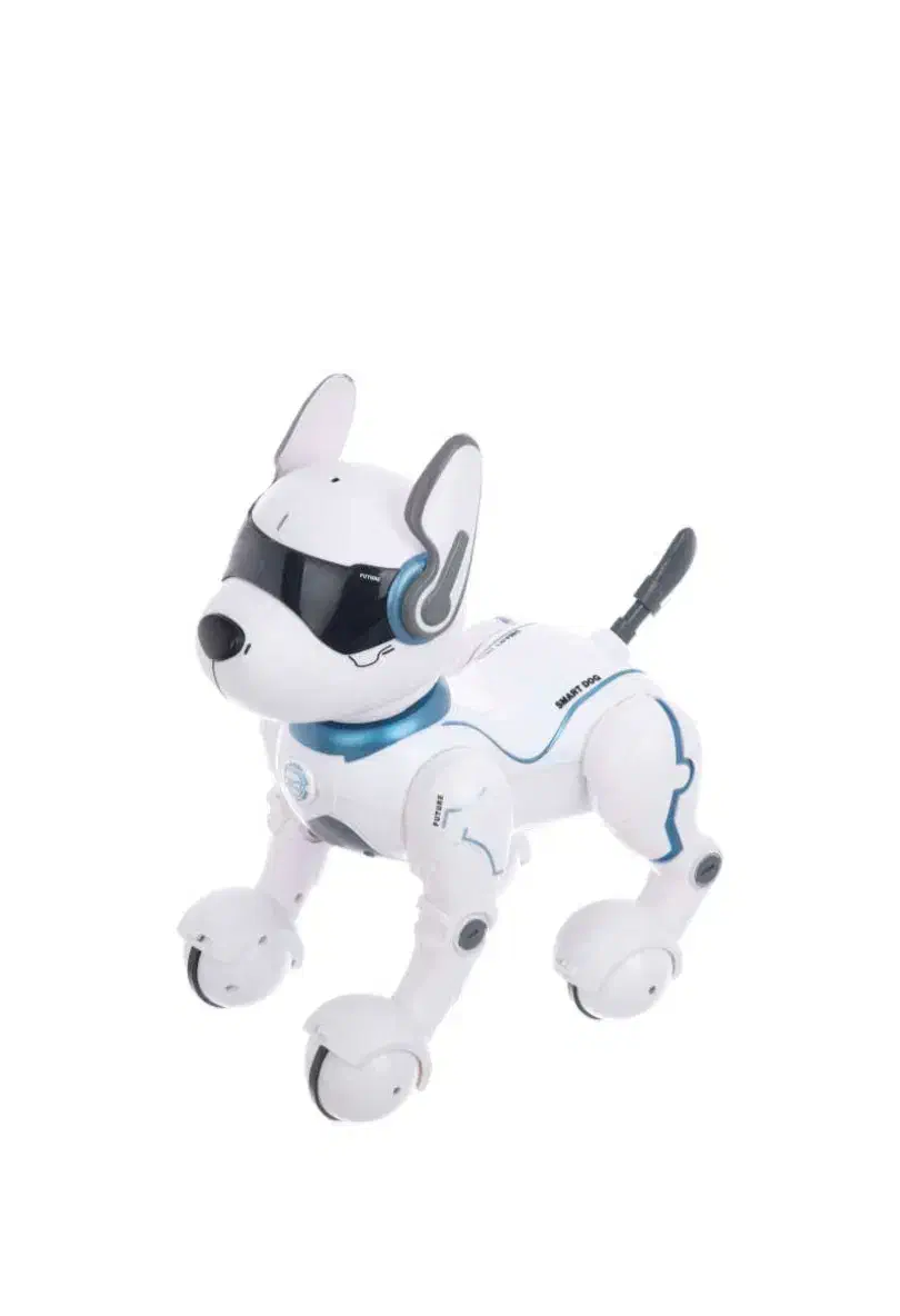 سگ رباتیک|اسباب‌بازی بچه|چالوس, |دیوار