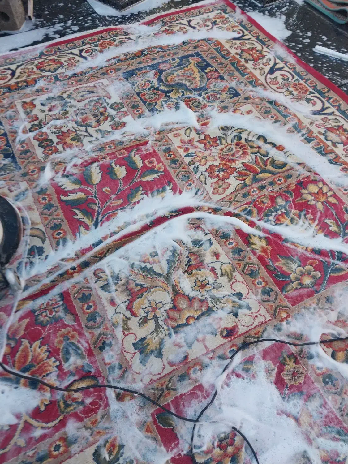 قالیشویی وپتوشویی|خدمات نظافت|کیار, |دیوار