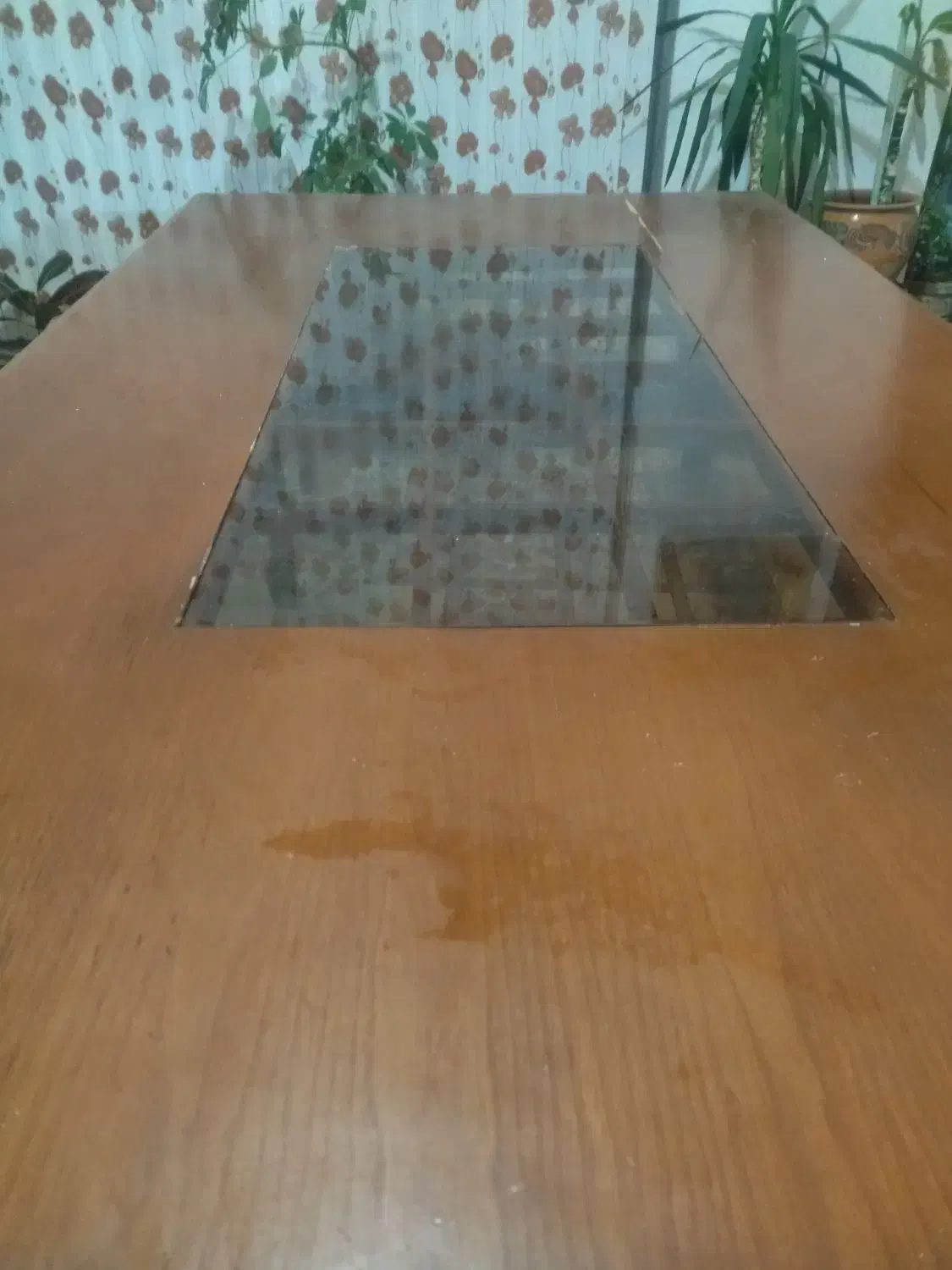 میز ۶نفره|میز و صندلی غذاخوری|شیراز, گل سرخ|دیوار