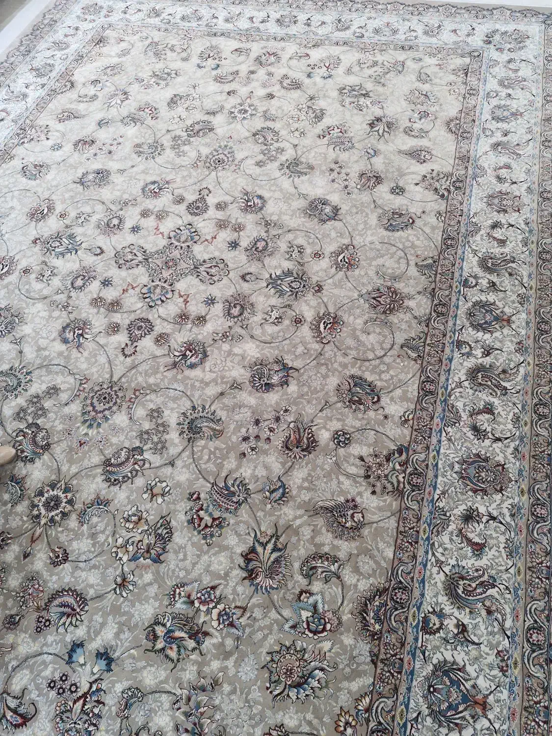 فرش اکباتان|فرش|بندر انزلی, شاکوچه|دیوار