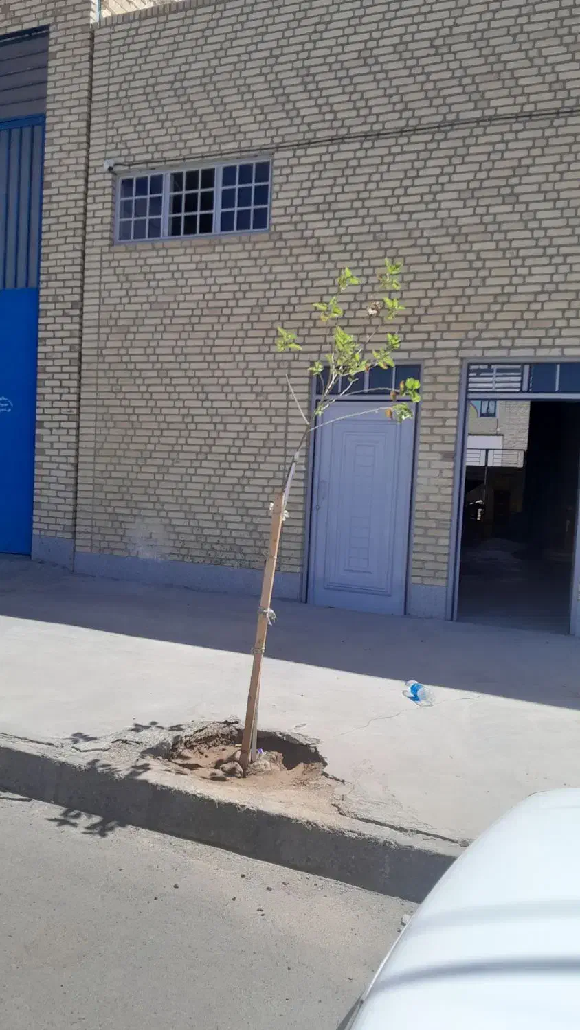 اجاره صنوف آلاینده|اجارهٔ مغازه و غرفه|بیرجند, |دیوار