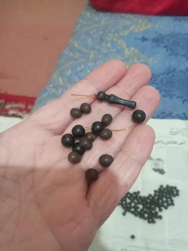 دانه تسبیح یسر نو سالم|کلکسیون اشیاء عتیقه|رشت, شهرک شهید مفتح|دیوار