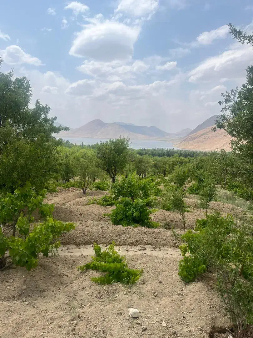 فروش باغ ۲۰۰۰ متری با ویو تالاب چغاخور|فروش زمین و ملک کلنگی|بلداجی, |دیوار