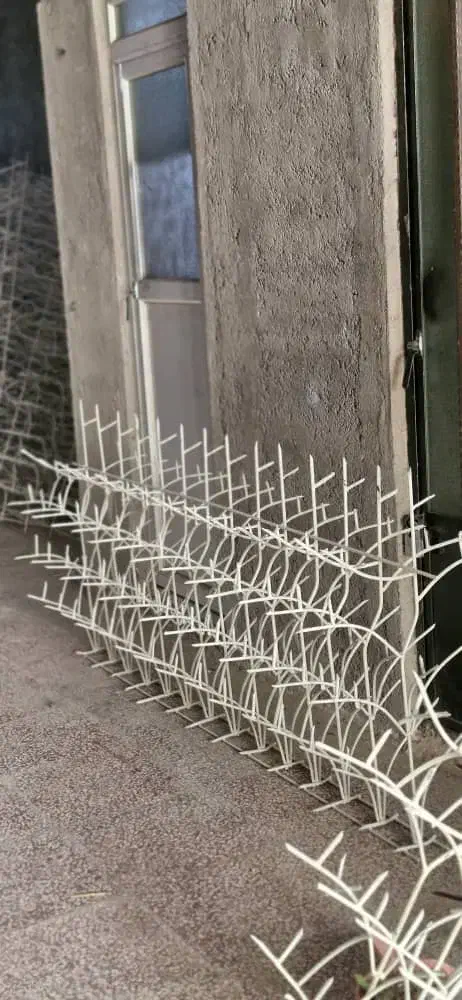 نمایندگی فروش شاخ گوزنی و در آکاردئونی|خدمات پیشه و مهارت|گنبد کاووس, |دیوار