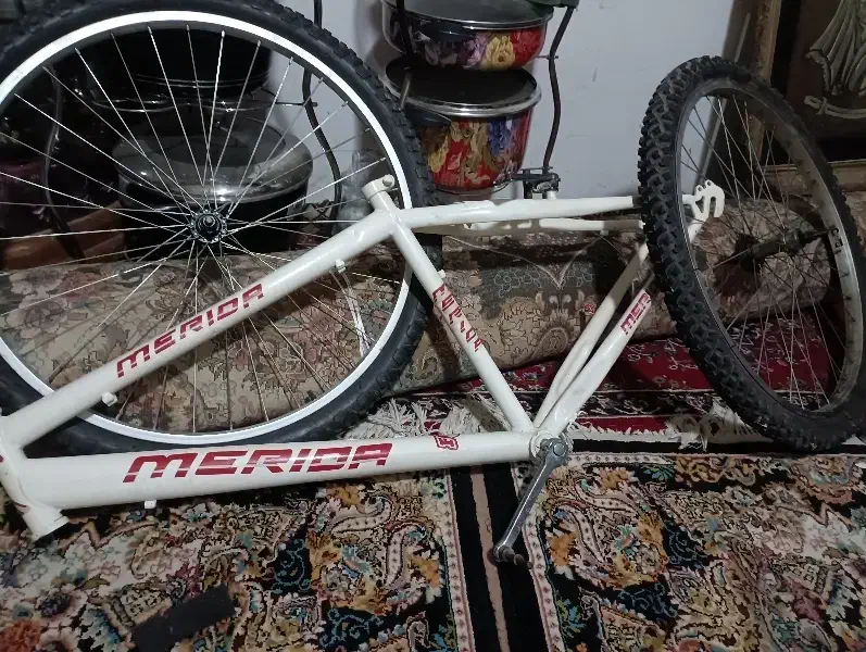 دوچرخه|دوچرخه، اسکیت، اسکوتر|کاشمر, |دیوار