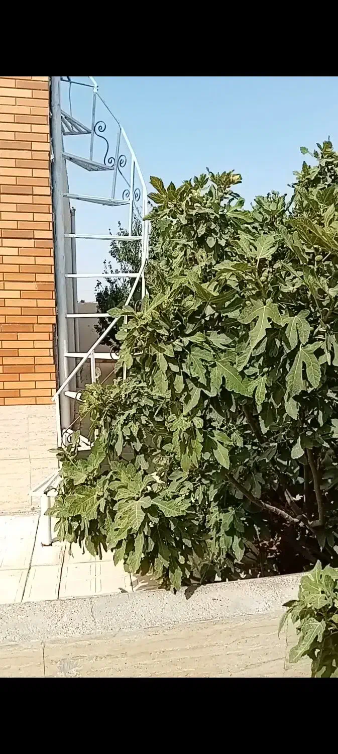 خانه ویلایی کلید نخورده|فروش خانه و ویلا|زاویه, |دیوار