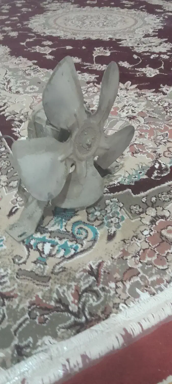 فن یخجال|فروشگاه و مغازه|اهر, |دیوار