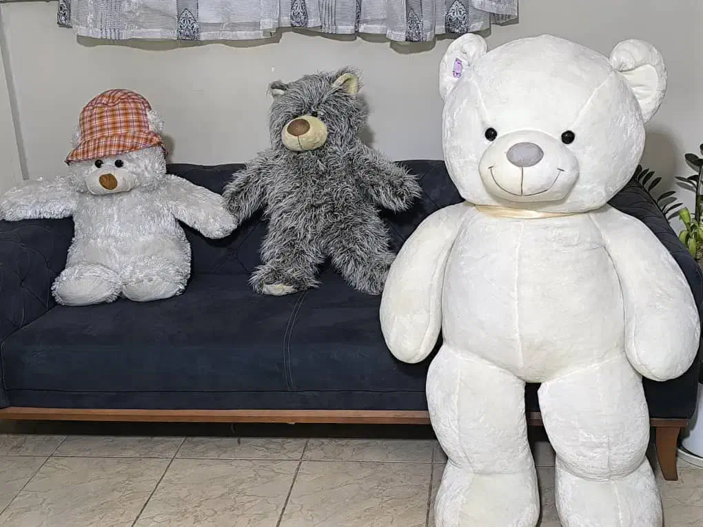 عروسک|اسباب‌بازی بچه|صدرا-فارس, فاز ۲|دیوار