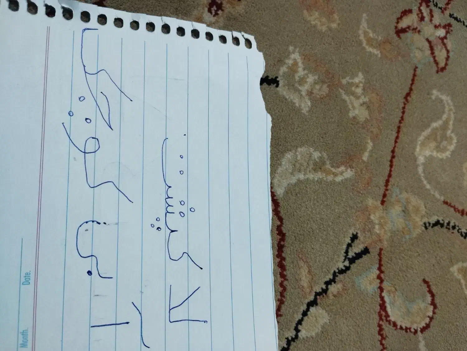 حیوان خانگی|ماهی|تربت جام, فاز ۲ فرهنگیان|دیوار