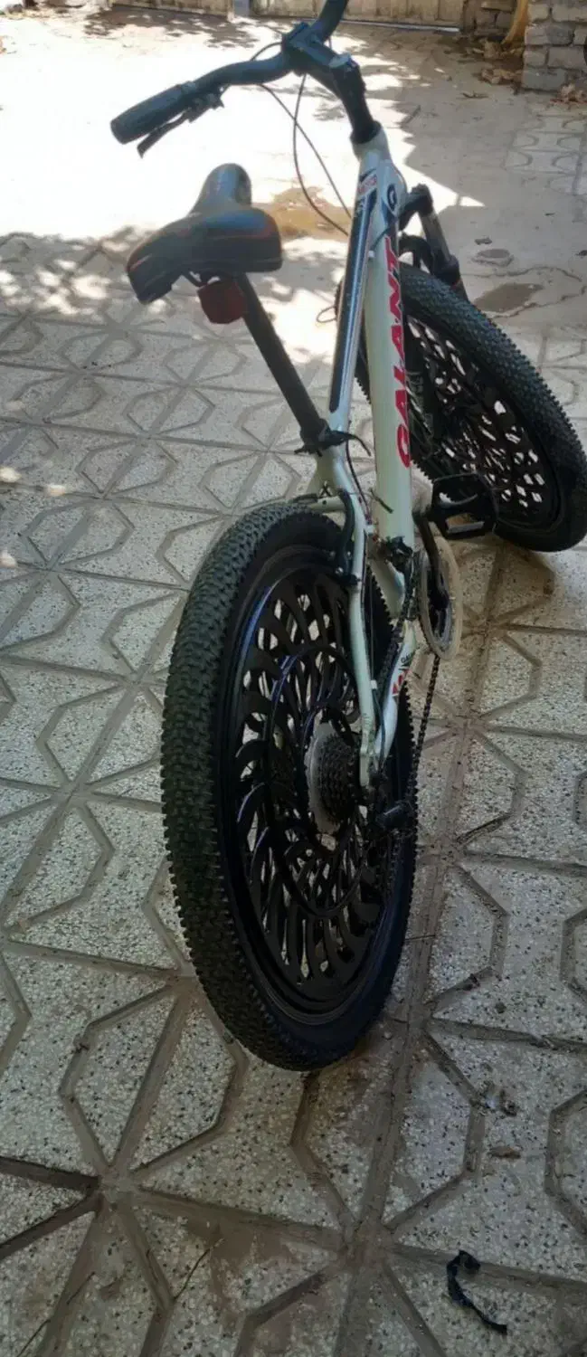 دوچرخه ۲۶ حرفه ای|دوچرخه، اسکیت، اسکوتر|نیشابور, ده حلاج|دیوار