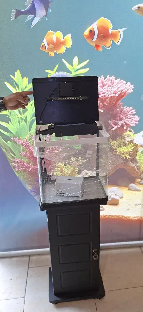 آکواریوم شرکتی|ماهی|اندیشه, اندیشه فاز ۱|دیوار