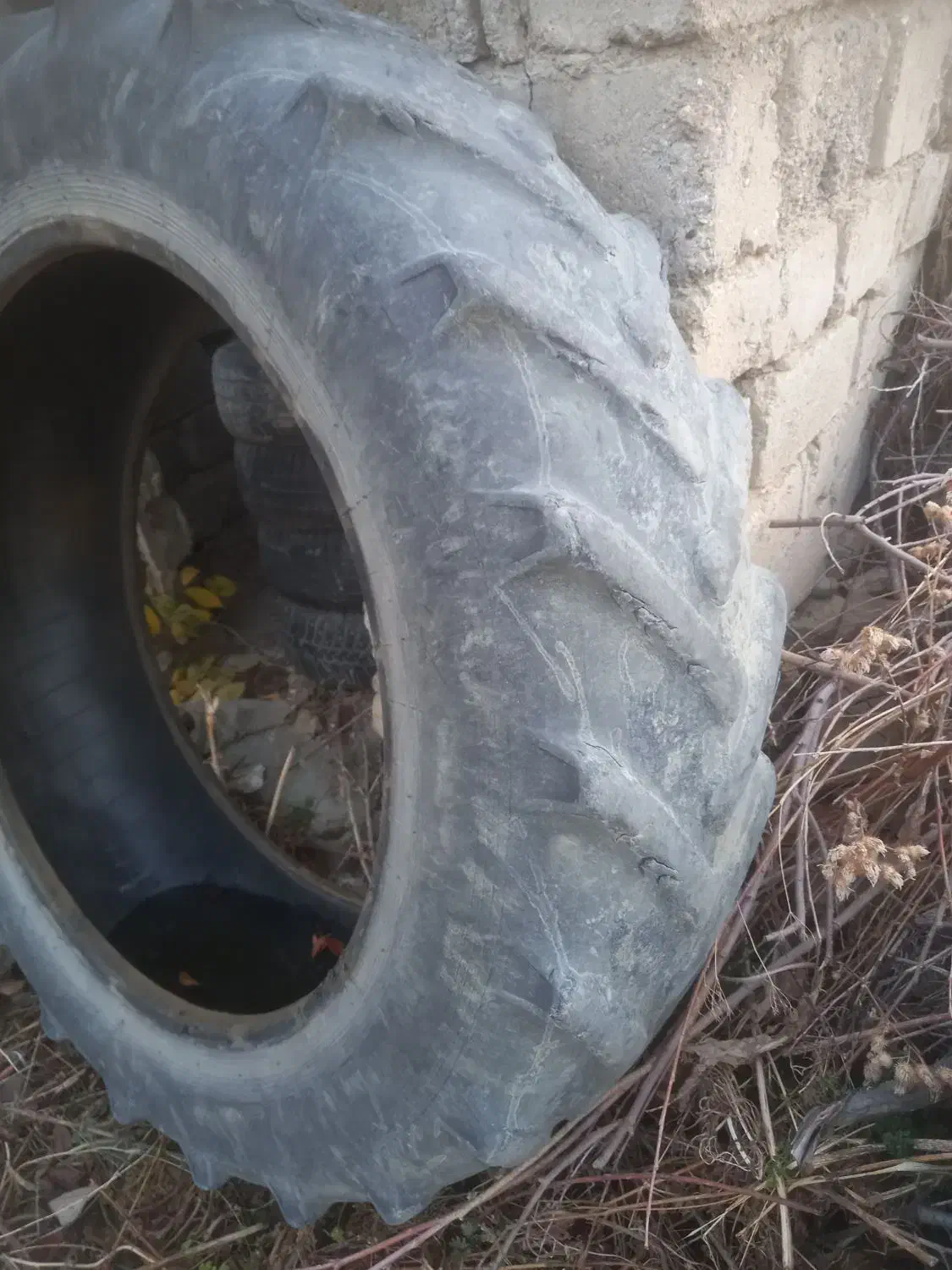 لاستیک تراکتور رومانی|قطعات یدکی و لوازم جانبی|سیلوانه, |دیوار