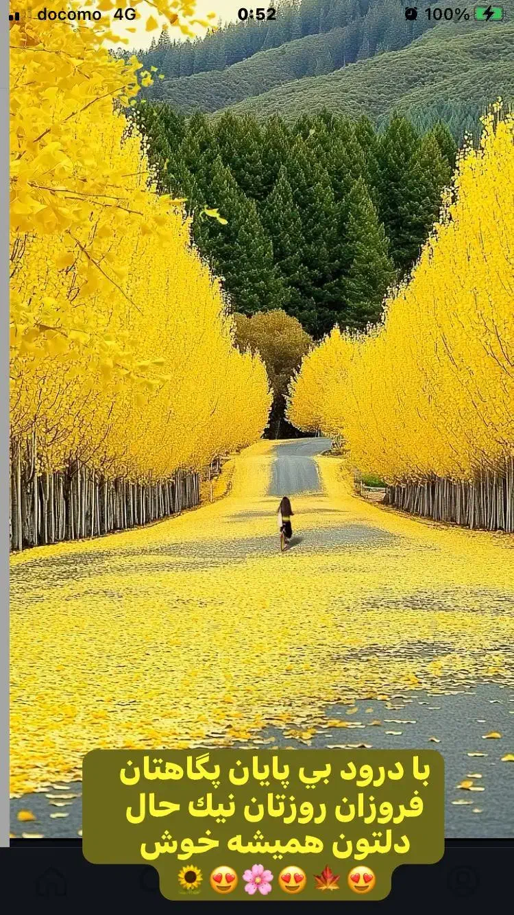 راهنمایی و کمک|خدمات نظافت|مشهد, تربیت (صدف)|دیوار