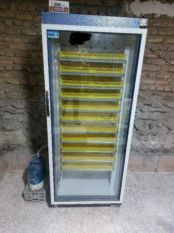 دستگاه جوجه کشی دماوند ۹۲۴|لوازم جانبی حیوانات|گرگان, |دیوار