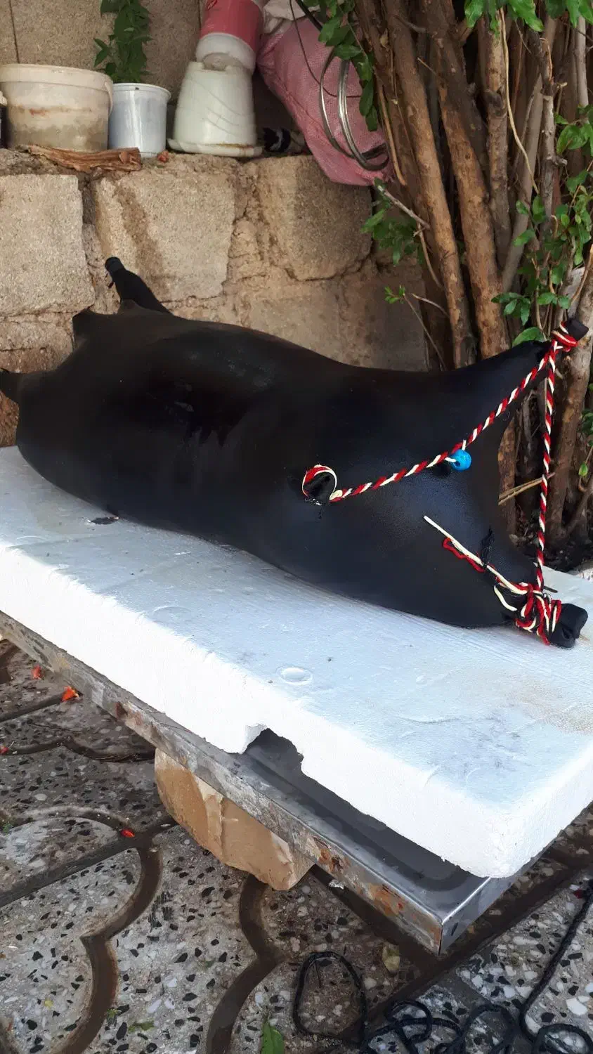 مشک اب|صنایع دستی و سایر لوازم تزئینی|آبدانان, |دیوار