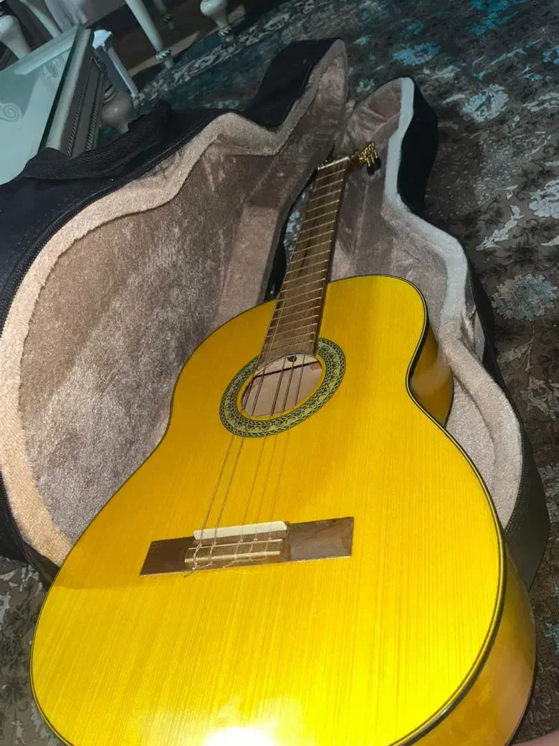 گیتار|گیتار، بیس، امپلیفایر|بومهن, |دیوار