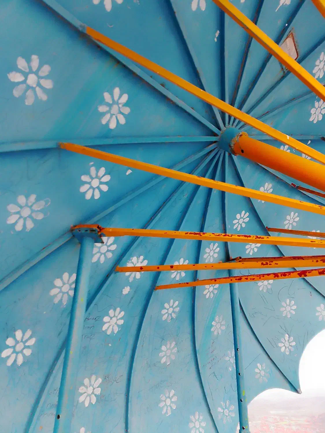 چتر|لباس|مریوان, |دیوار