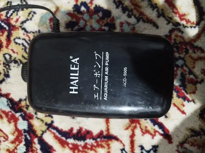 پمپ اکواریم|ماهی|قرق, |دیوار