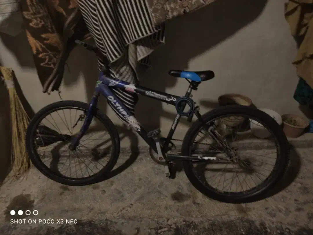 دوچرخه 24|دوچرخه، اسکیت، اسکوتر|امیدیه, |دیوار