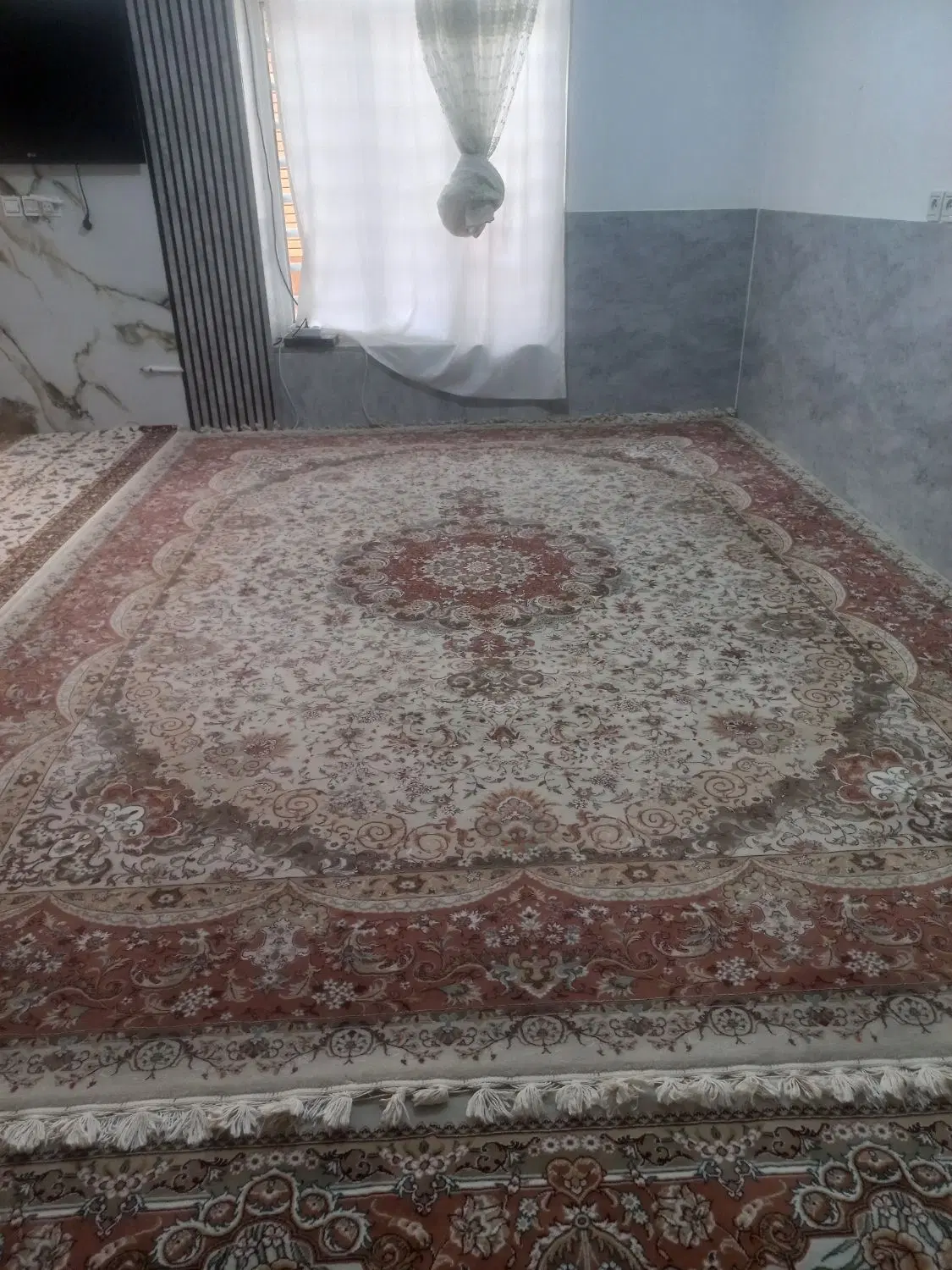 قالی|فرش|سیرجان, |دیوار