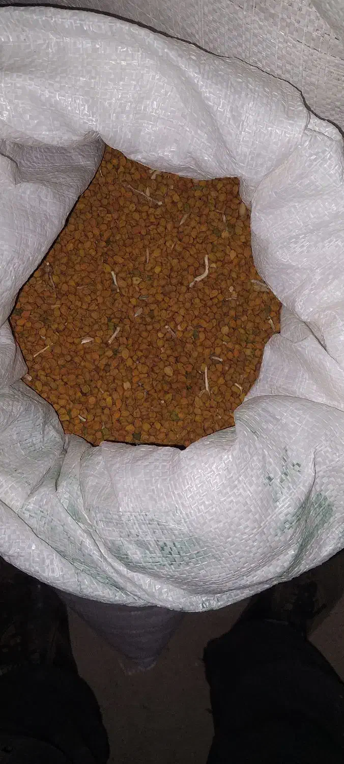 نخودزرد|خوردنی و آشامیدنی|قیدار, |دیوار