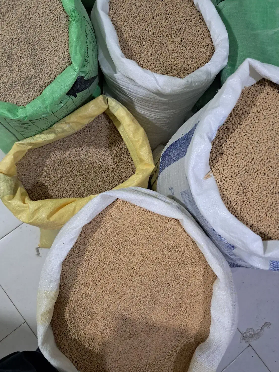 فروش دانه پارس|عمده‌فروشی|کلاله, |دیوار