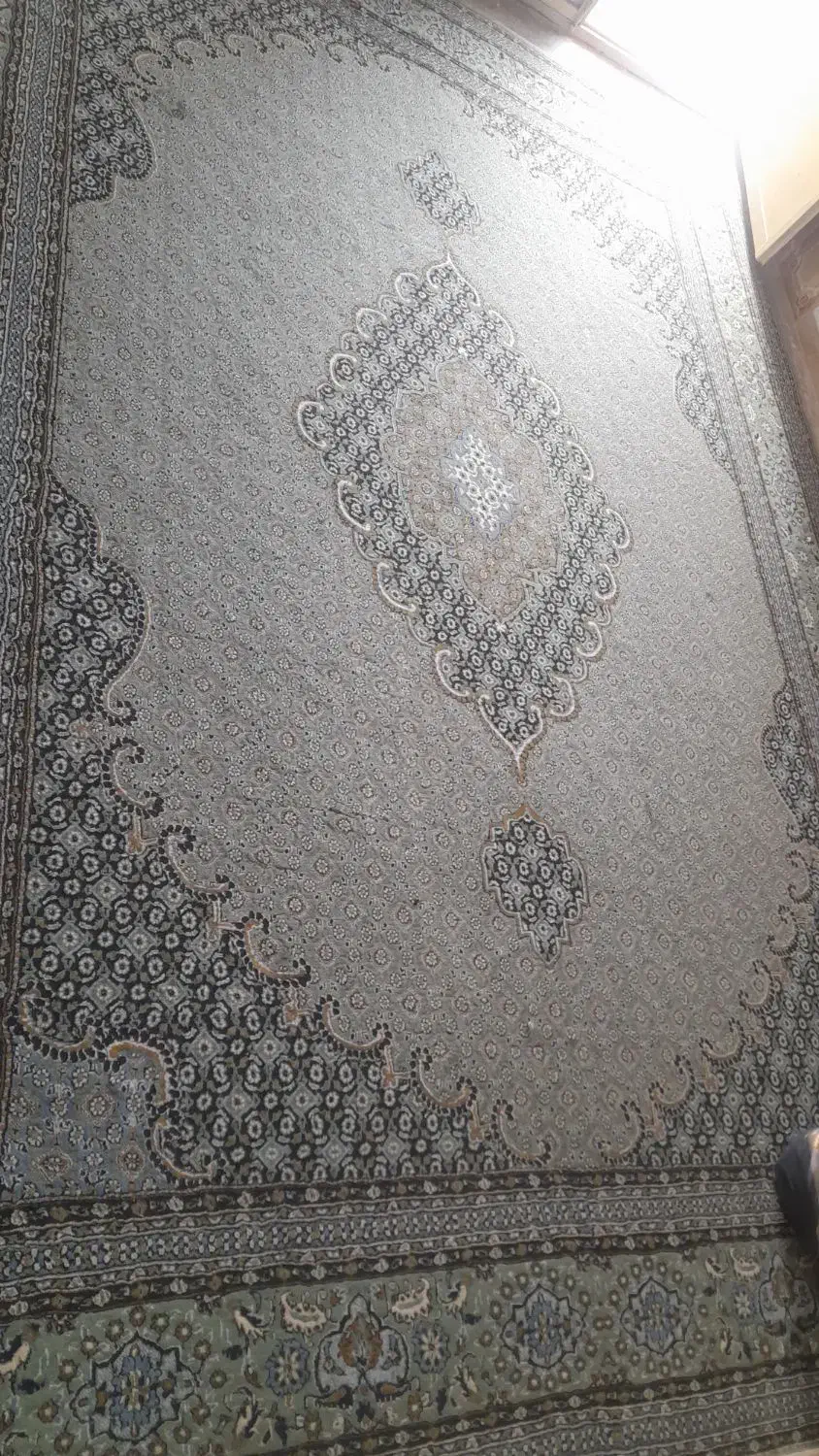 قالی ۱۲ متری|فرش|مسجد سلیمان, |دیوار