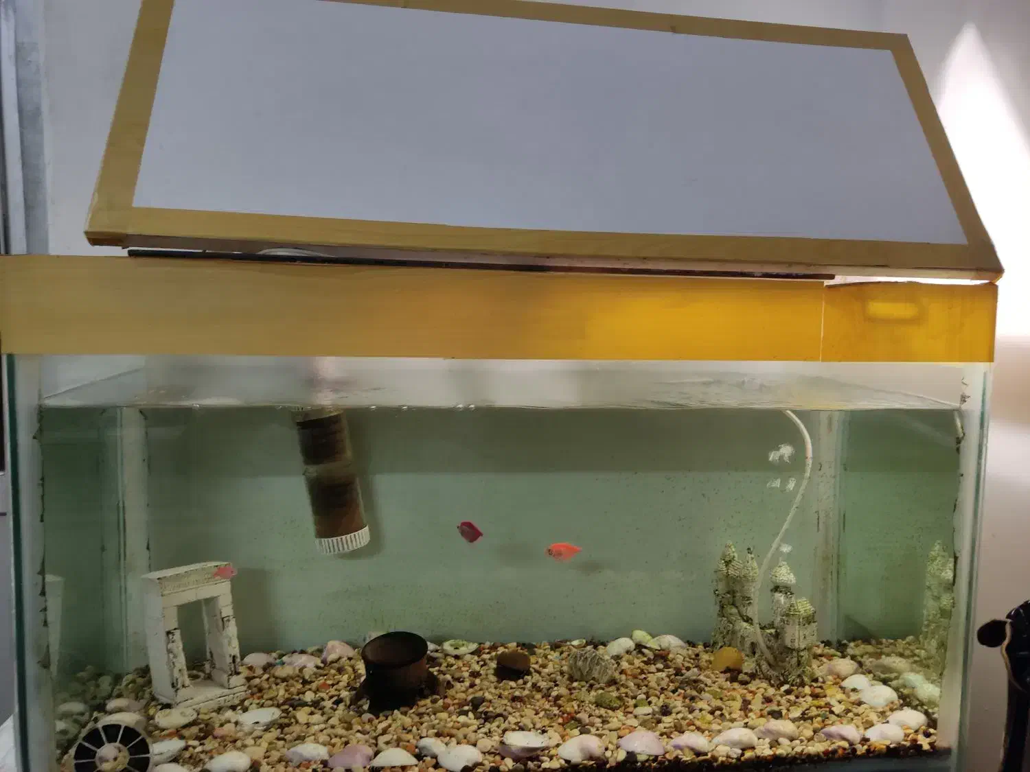 آکواریوم 30*85|ماهی|رشت, نیروی دریایی|دیوار