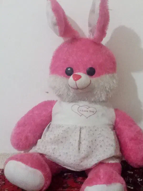 عروسک خرگوش وخرس|اسباب‌‌بازی|سهند, |دیوار