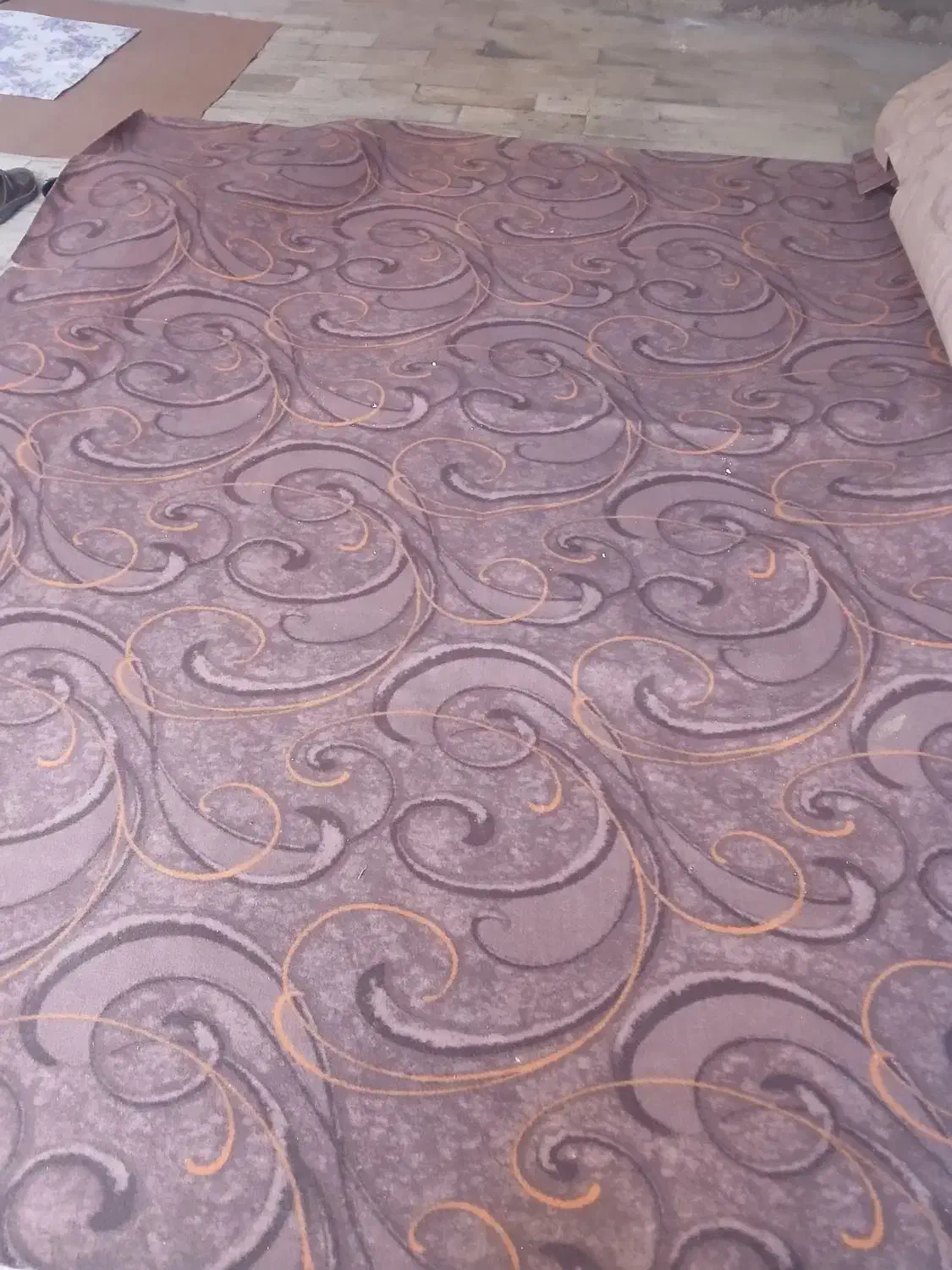 حرکت در حد نو|موکت|بازرگان, |دیوار