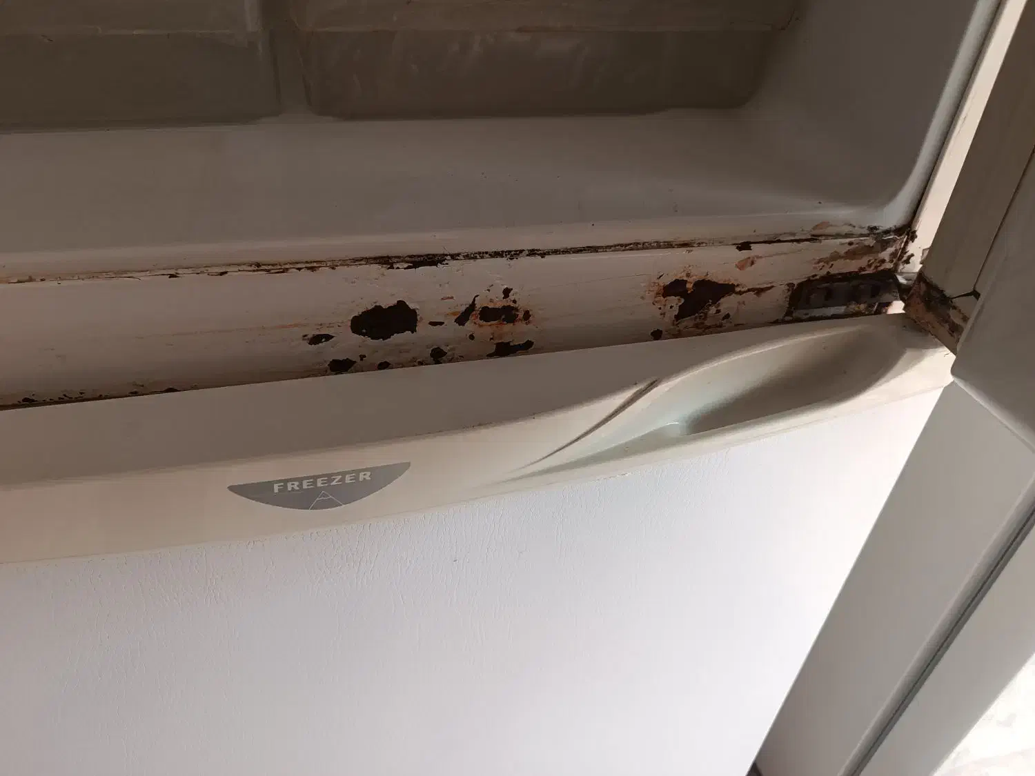 یخچال وفریزر|یخچال و فریزر|سبزوار, فرهنگیان|دیوار