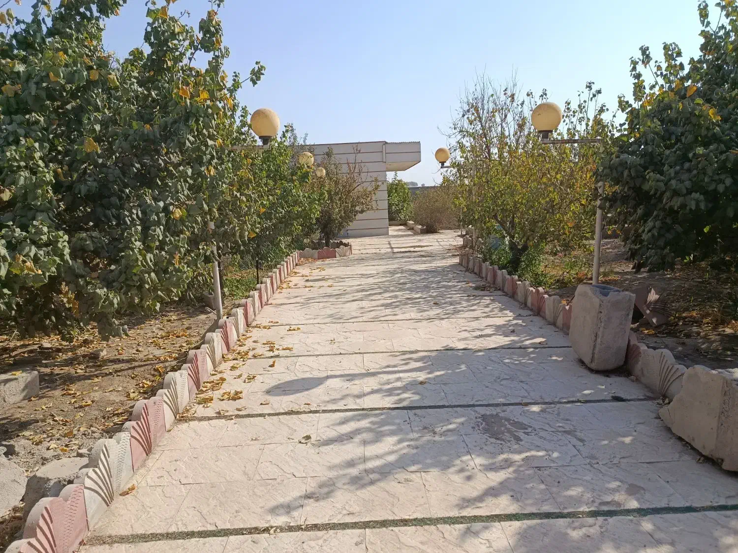 باغ با درخت قدیمی سند دار جیتو تبرئه کشاورزی|فروش خانه و ویلا|پاکدشت, پاکدشت (مامازند)|دیوار