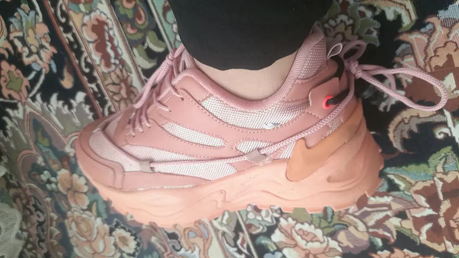 کفش|کیف، کفش، کمربند|لردگان, |دیوار