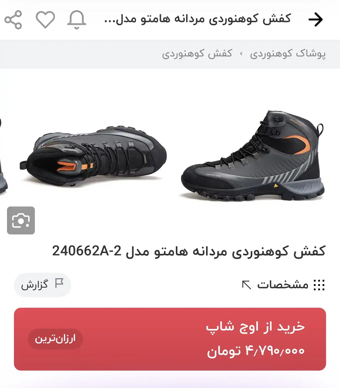 کفش کوهنوردی|کیف، کفش، کمربند|نیشابور, دارایی|دیوار