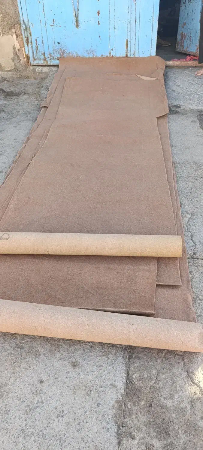 موکت|موکت|زاهدان, |دیوار