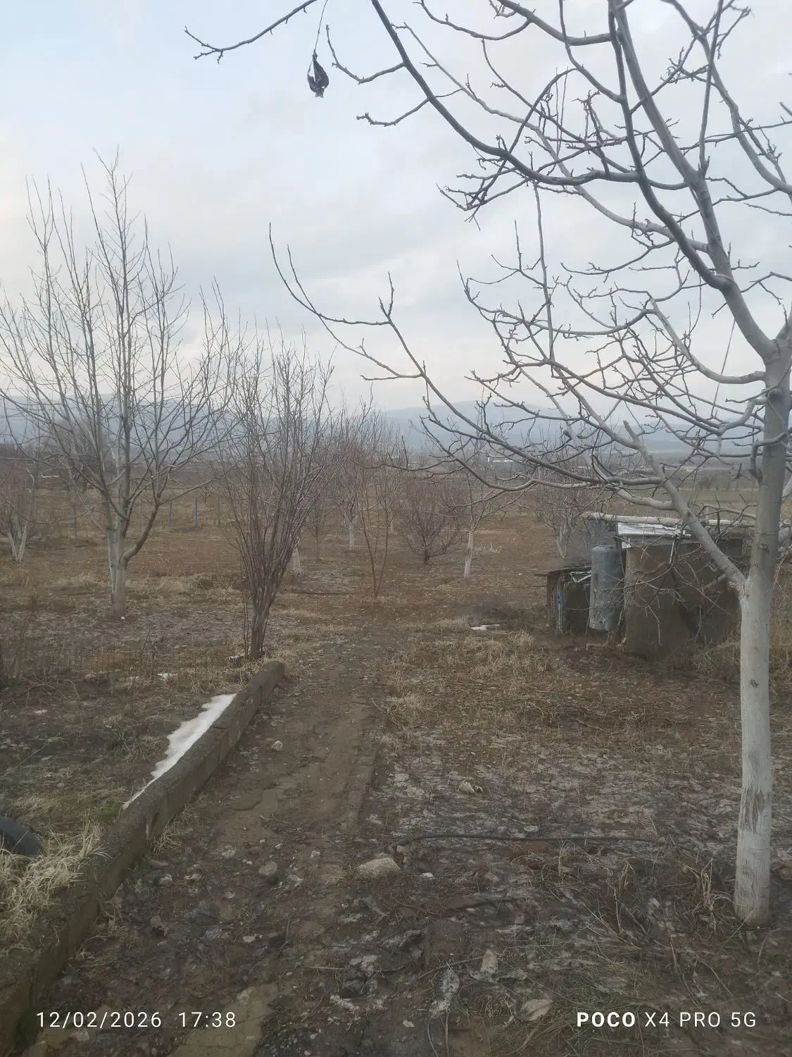 باغ|فروش زمین و ملک کلنگی|خاو و میرآباد, |دیوار